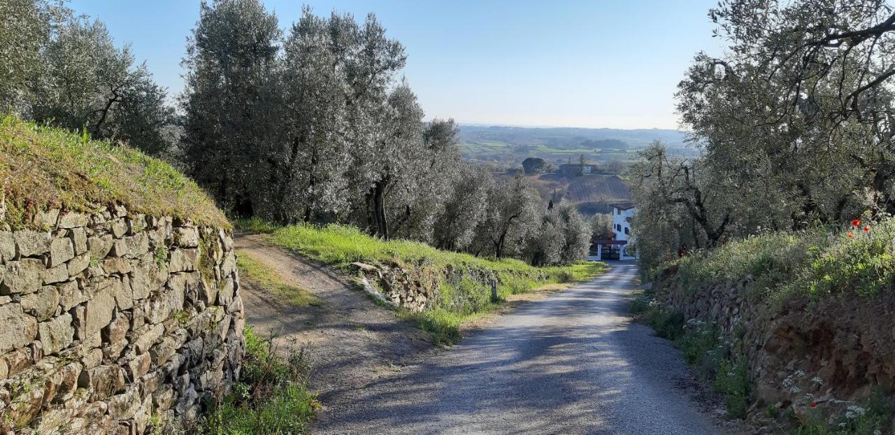 Vila Il Fienile Di Tigliano Vinci Exteriér fotografie