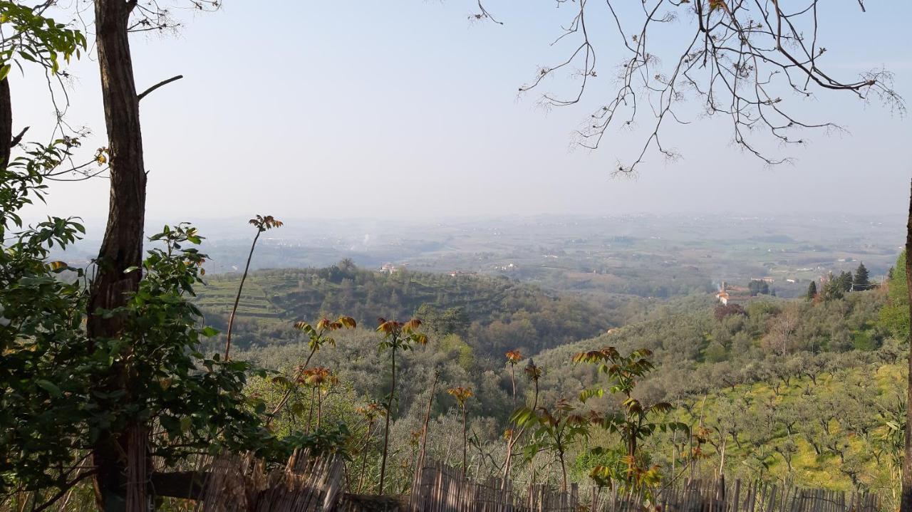 Vila Il Fienile Di Tigliano Vinci Exteriér fotografie